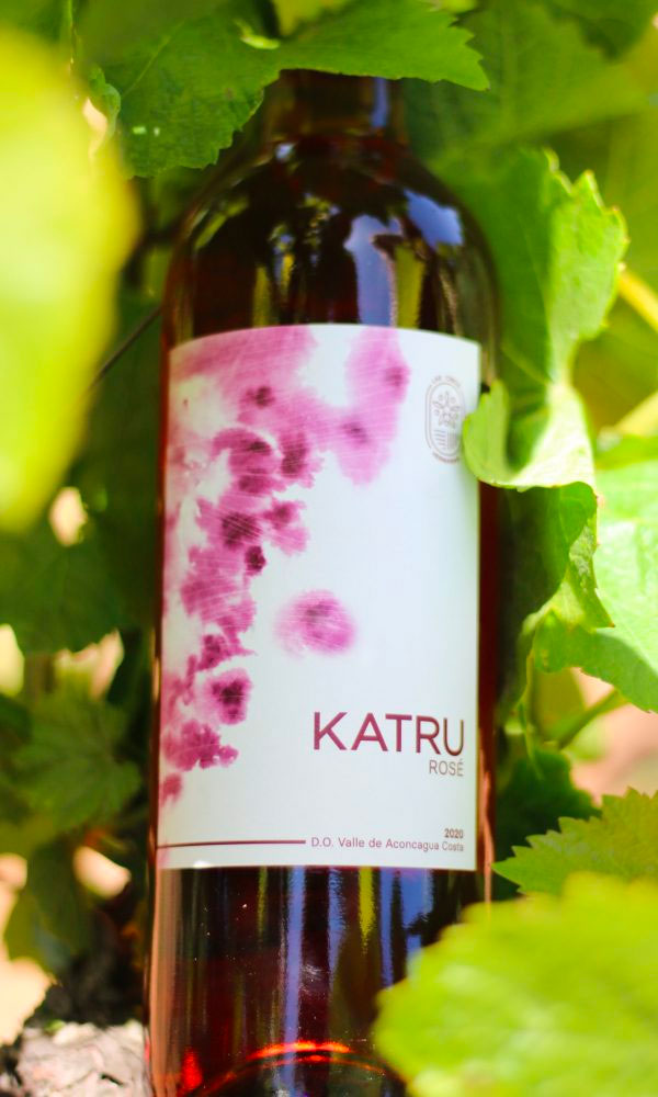 Katru Rosé en parra